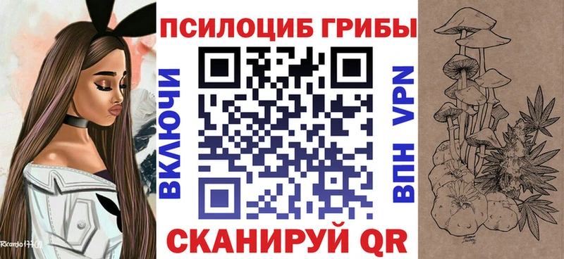 Галлюциногенные грибы Psilocybe  Чудово 